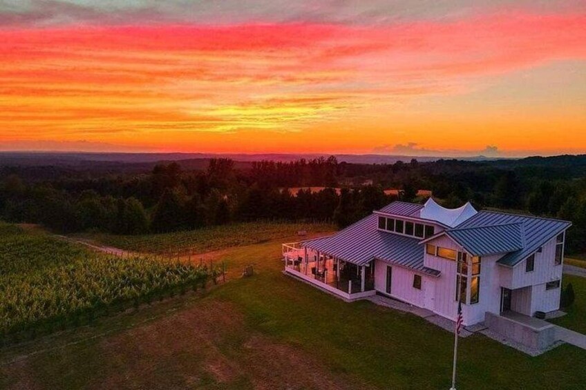 A modern house with a large porch, surrounded by a vineyard, during sunset. 1