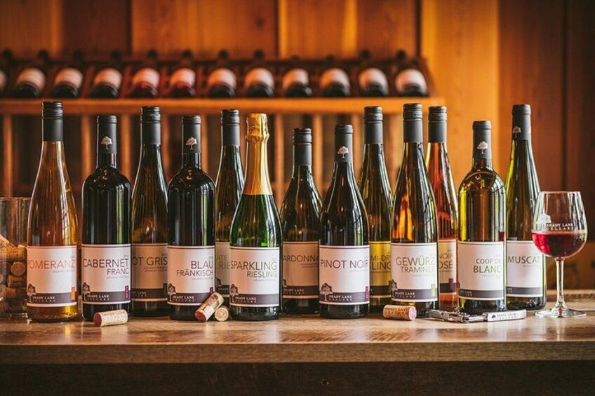 5-Hour Traverse City Wine Tour: 3 Wineries on Leelanau Peninsula 2