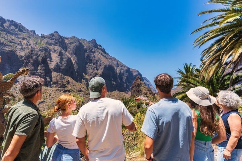 Tenerife Jeep Safari to Teide and Masca 3