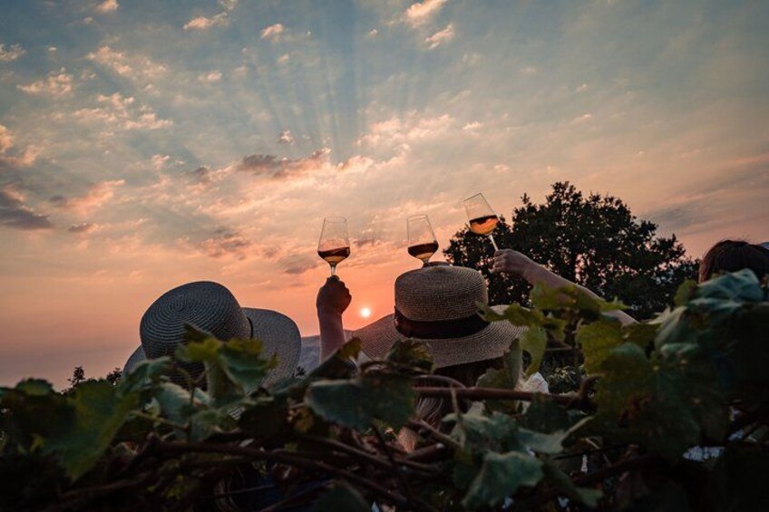 Menschen entspannen sich in einem Weinberg, während die Sonne untergeht. 3