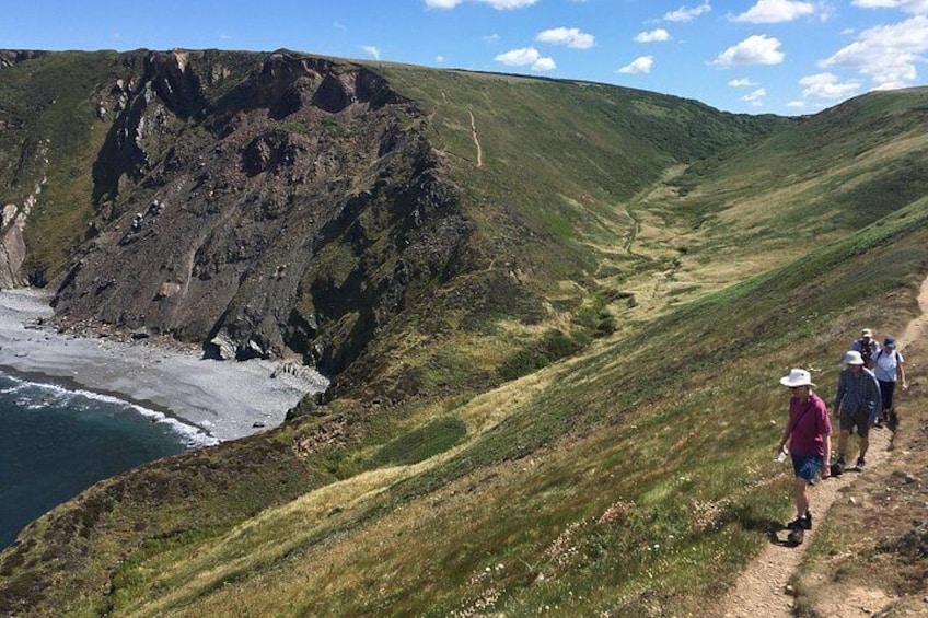 Un sendero para caminatas con vistas a la costa, terreno cubierto de pasto y acantilados rocosos. 2