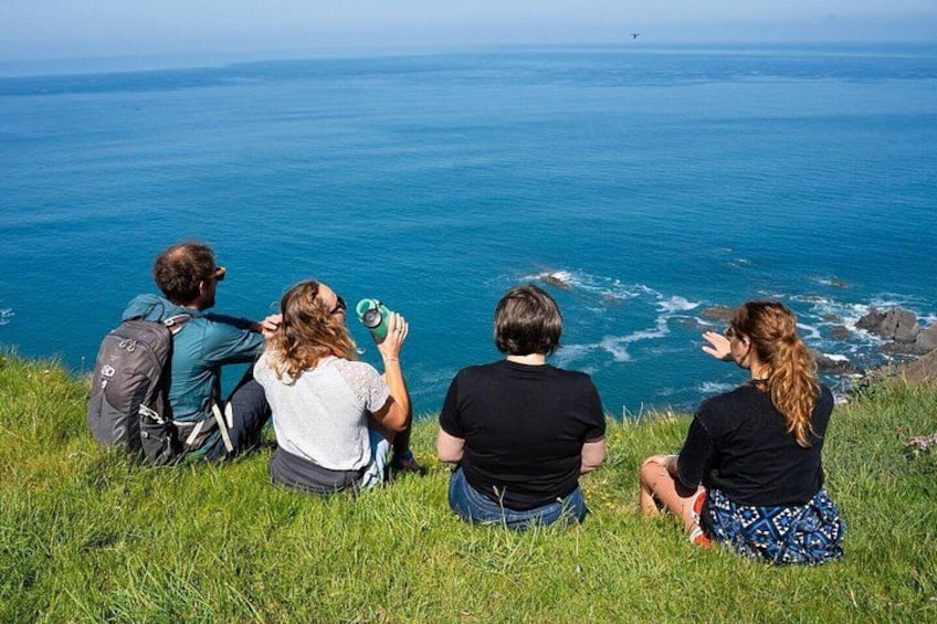 Cuatro personas sentadas en una colina cubierta de hierba con vistas al océano. 4