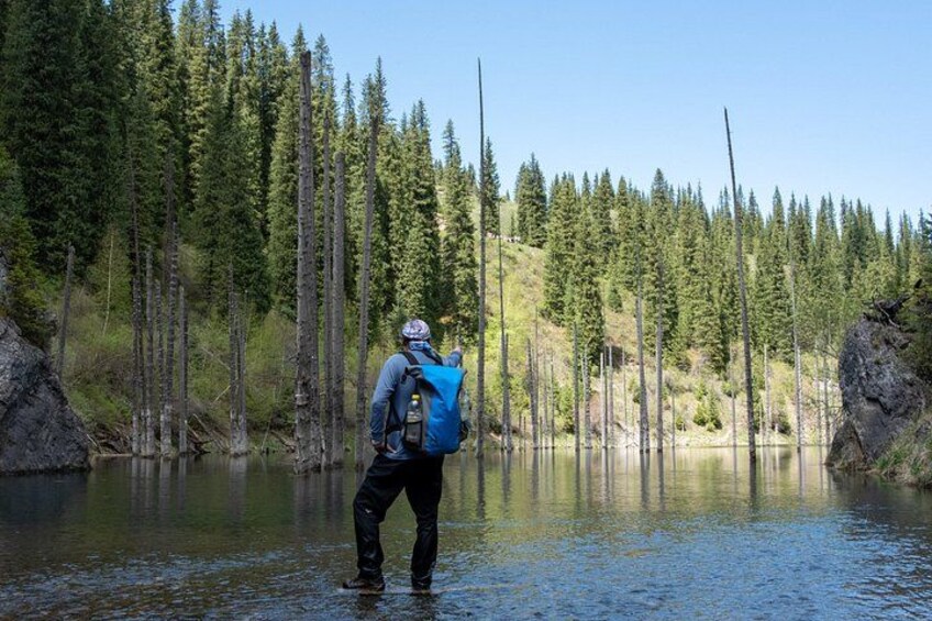 A person standing in a river surrounded by tall trees. 3