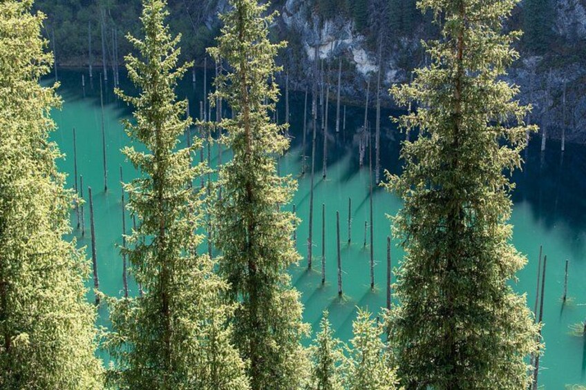 A forest with tall trees and a clear blue lake. 4