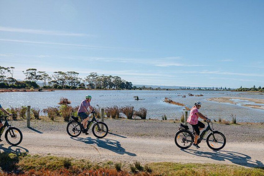 Ahuriri Estuary, Hawke's Bay Trails 2
