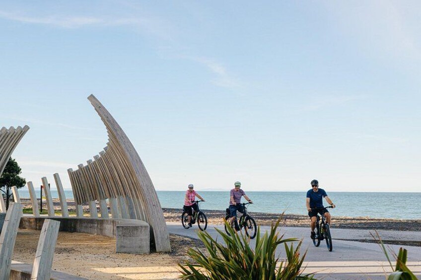 Cycling on Marine Parade, Napier, NZ 3