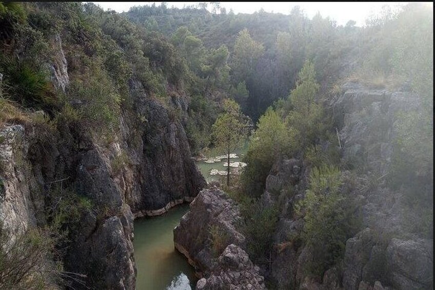 Un cañón con río, acantilados rocosos y bosque denso. 5