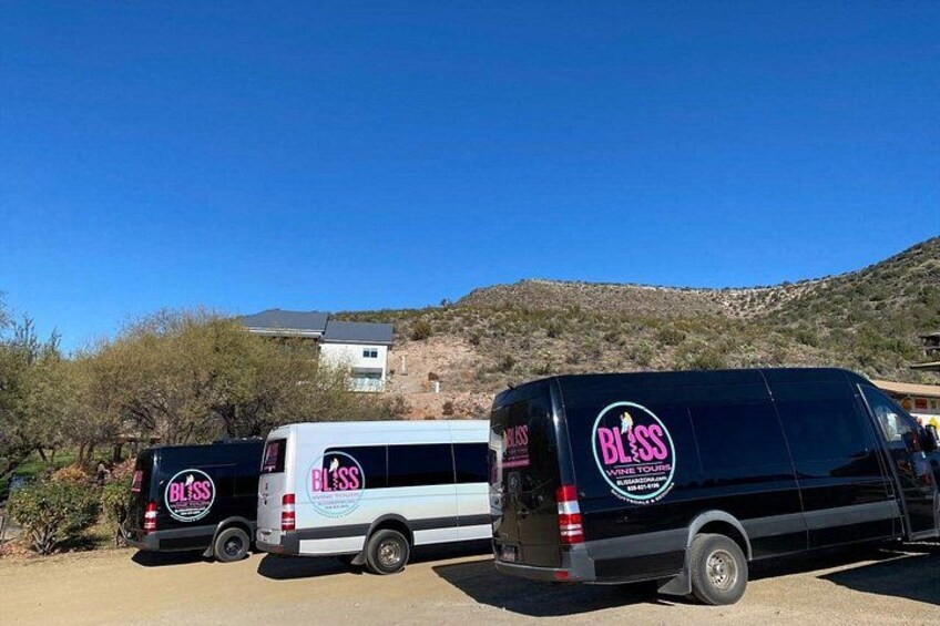 Bliss - Sedona’s Most Luxurious Wine Tour - Lunch Included! 2