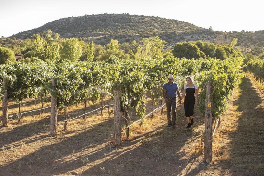 Take a walk through the vines! 1