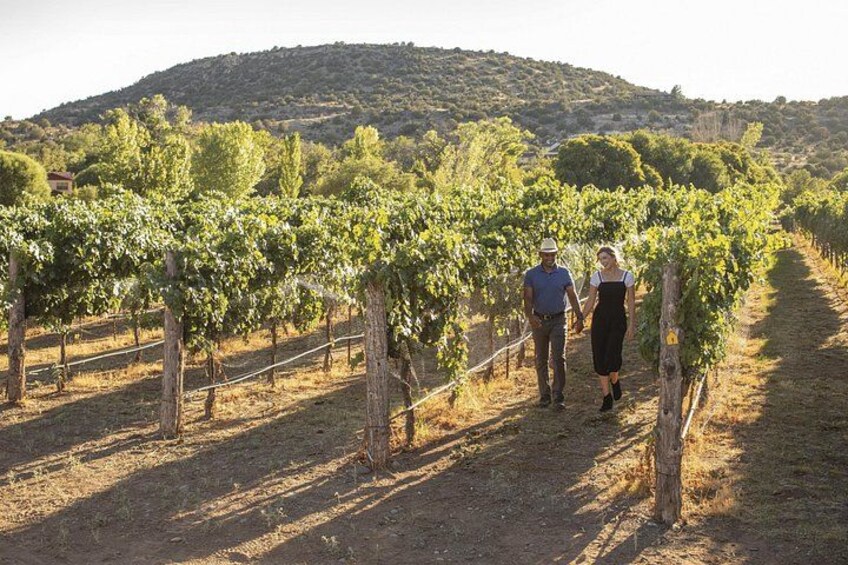 Take a walk through the vines! 1