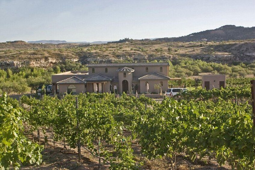A vineyard with rows of grapevines, a building with a tiled roof, and a hilly landscape in the background. 2