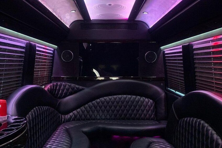All party buses! 4
