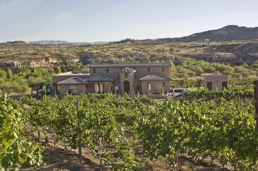 A vineyard with rows of grapevines, a building with a tiled roof, and a hilly landscape in the background. 2