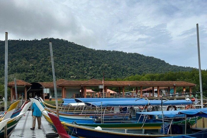 A dock with boats, a building with a red roof, and a forested hill in the background. 4