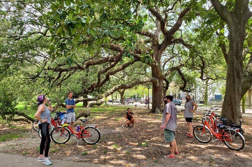 New Orleans Garden District and Cemetery Bike Tour 1