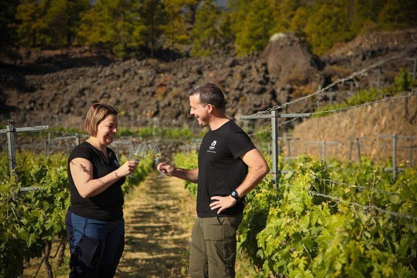 Visit to Arafo Mountain Vineyard and Organic Wine Tasting 5