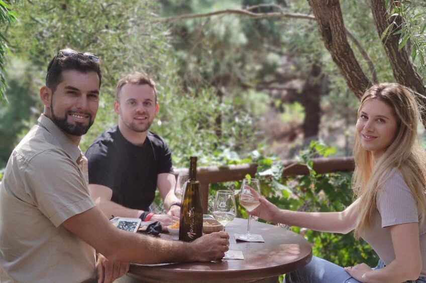 Visit to Arafo Mountain Vineyard and Organic Wine Tasting 3
