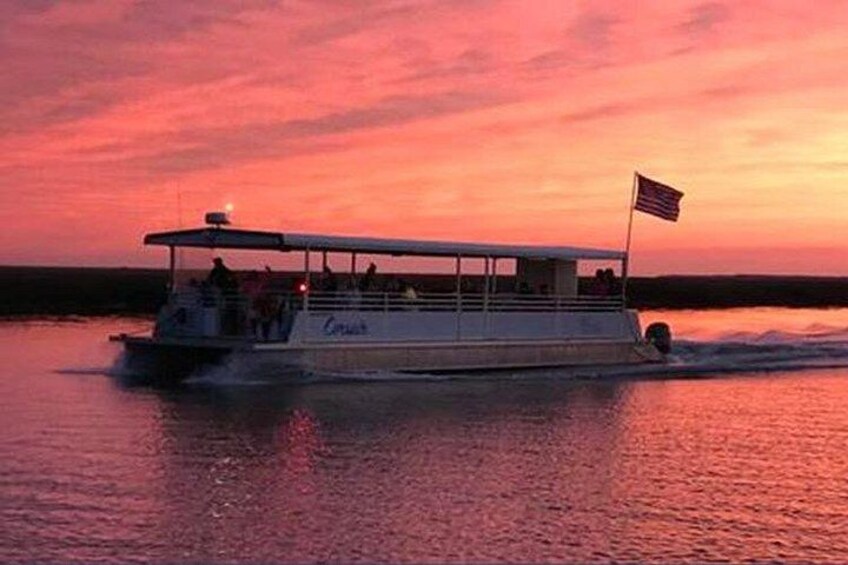 Jekyll Island Dolphin Tours 1
