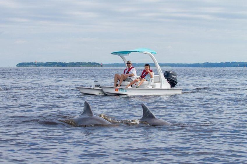 Drive your Own 2 Seat Fun Go Cat Boat on Marco Island 4