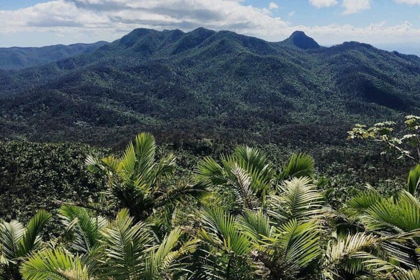 A mountainous landscape with dense green foliage in the foreground and a range of hills in the background. 1