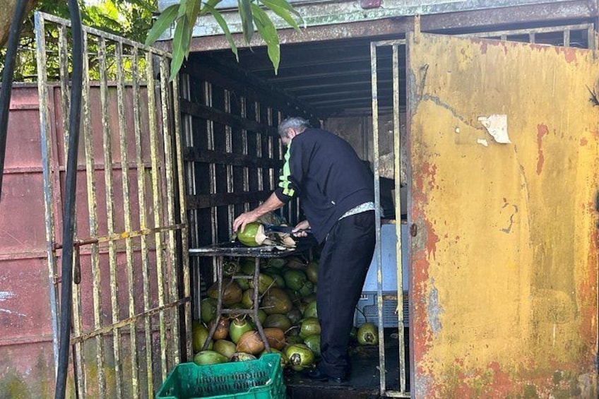 A person peeling coconuts in a rustic outdoor setting with a metal gate and a yellow wall. 4