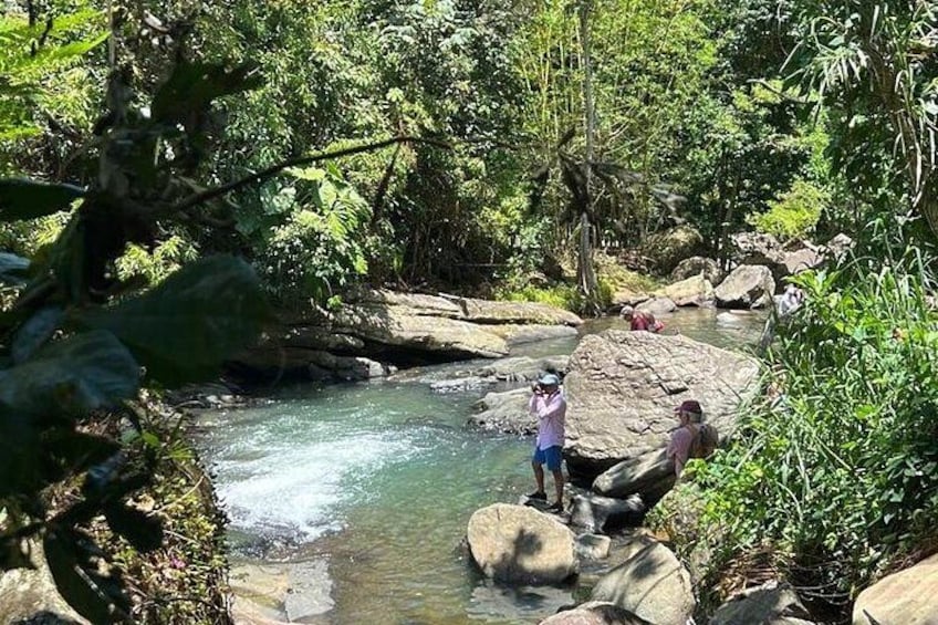 San Juan to El Yunque Rainforest Waterslides and Luquillo Beach 3