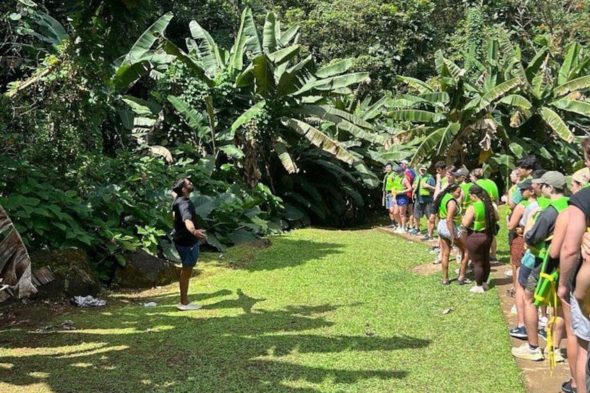 San Juan to El Yunque Rainforest Waterslides and Luquillo Beach 5