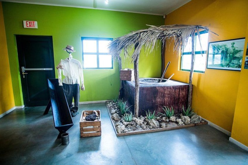 A room with a mannequin, a small hut, and a display of rocks and plants. 2