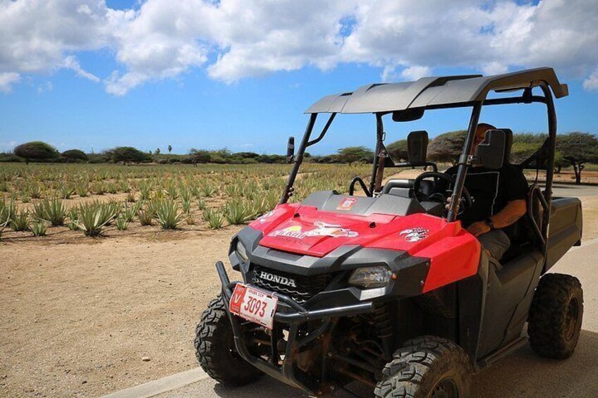 Aruban Roots 3 Hours Adventure by ATV & UTV with Kini Kini 3