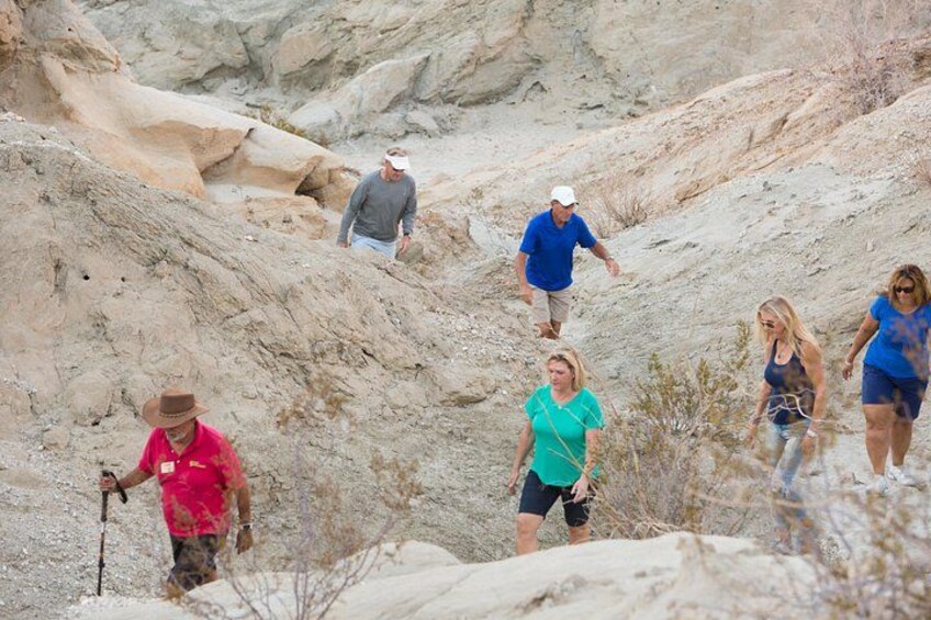 Naturalist guided hikes 3