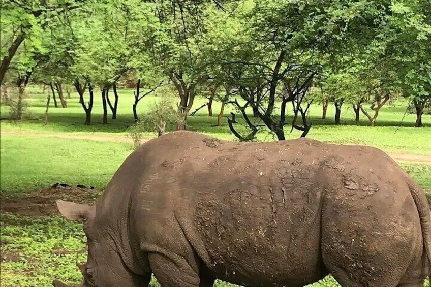 bandia wildlife reserve private- minimun 2 people to book it 3