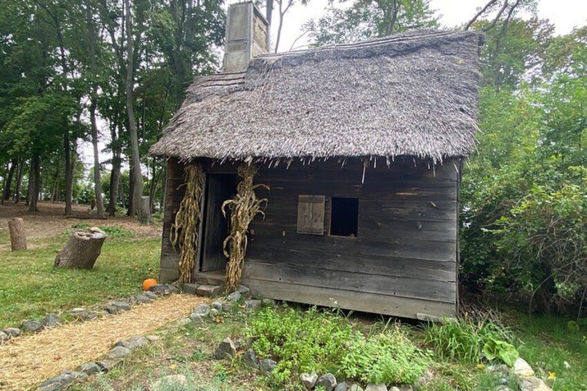 Une cabane en bois rustique, dotée d’un toit de chaume, entourée de verdure et d’arbres. 3