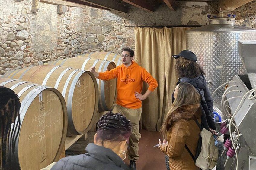 Tasting in a Tuscan Vineyard with transfer from Lucca 2