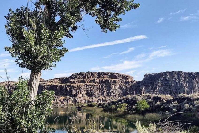 A tree, a rocky cliff, and a calm body of water. 5