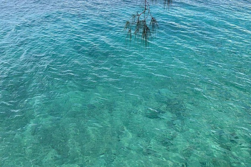 Zanzibar Stone Town Walking Tour 5