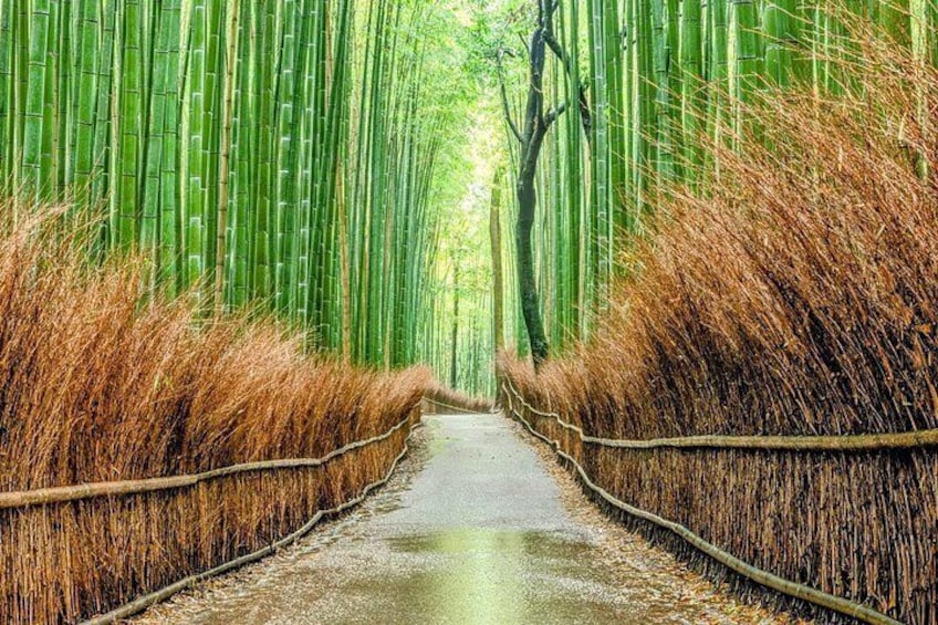 10 Must-see Spots in Kyoto One Day Private Tour 2