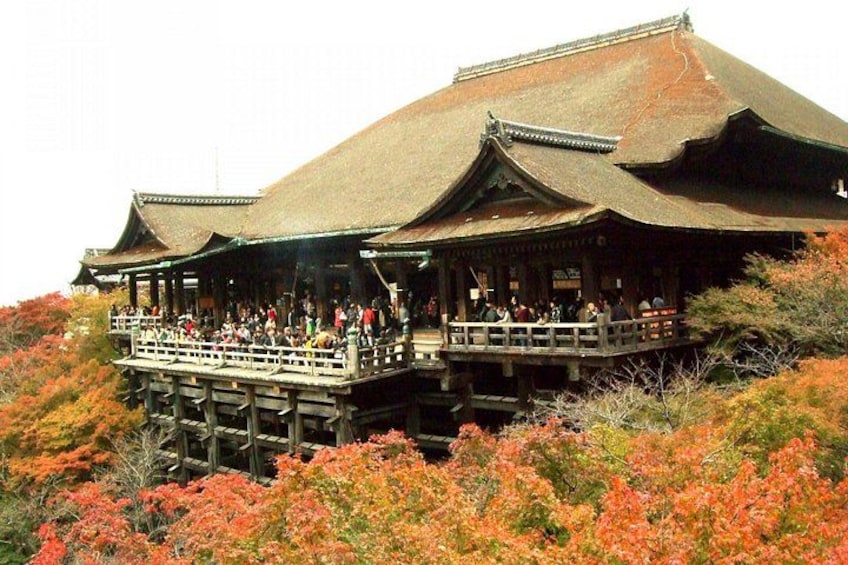 10 Must-see Spots in Kyoto One Day Private Tour 2
