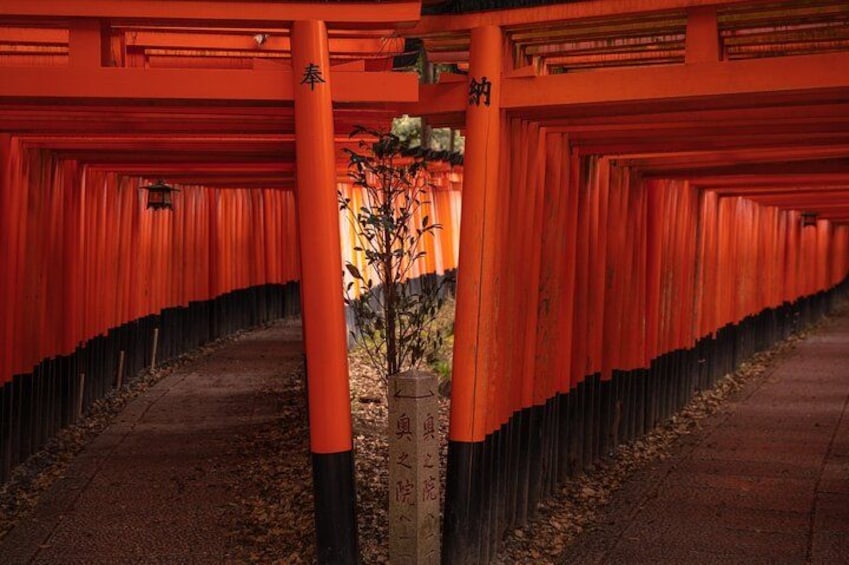 10 Must-see Spots in Kyoto One Day Private Tour 3