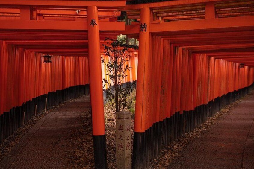 10 Must-see Spots in Kyoto One Day Private Tour 3