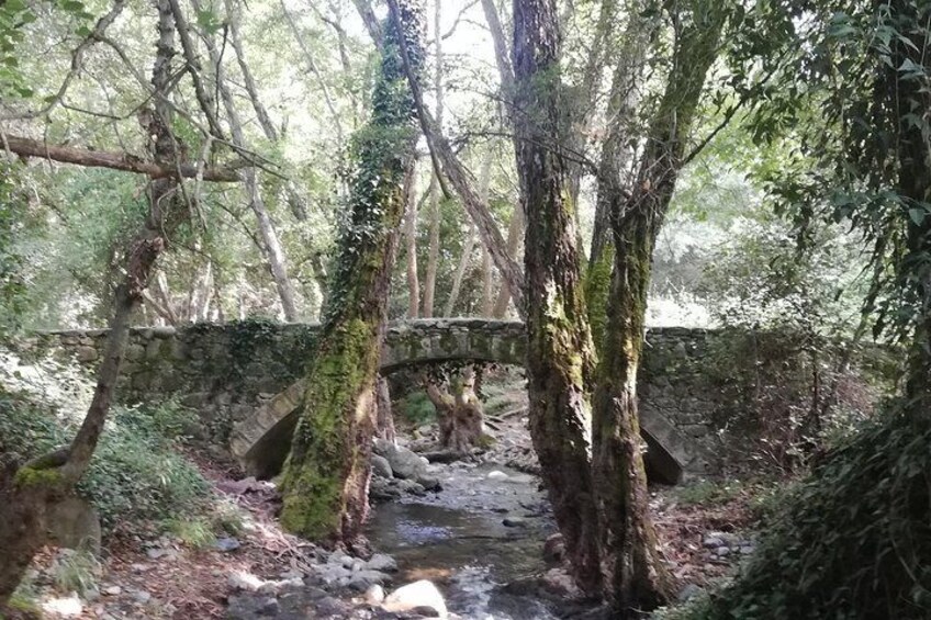 Milia Medieval Bridge