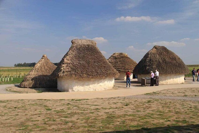 Traditional thatched-roof huts in a rural setting with a clear sky. 5