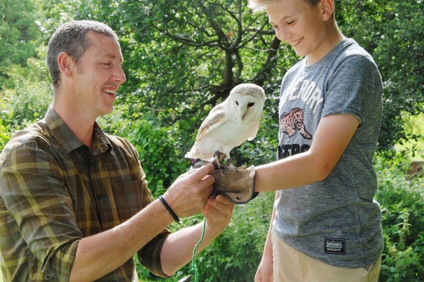 Iemand houdt een vogel vast, waarschijnlijk een uil, buiten met begroeiing op de achtergrond. 3