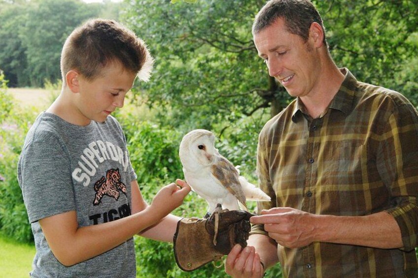 Iemand houdt een vogel vast, waarschijnlijk een uil, buiten met groen op de achtergrond. 1