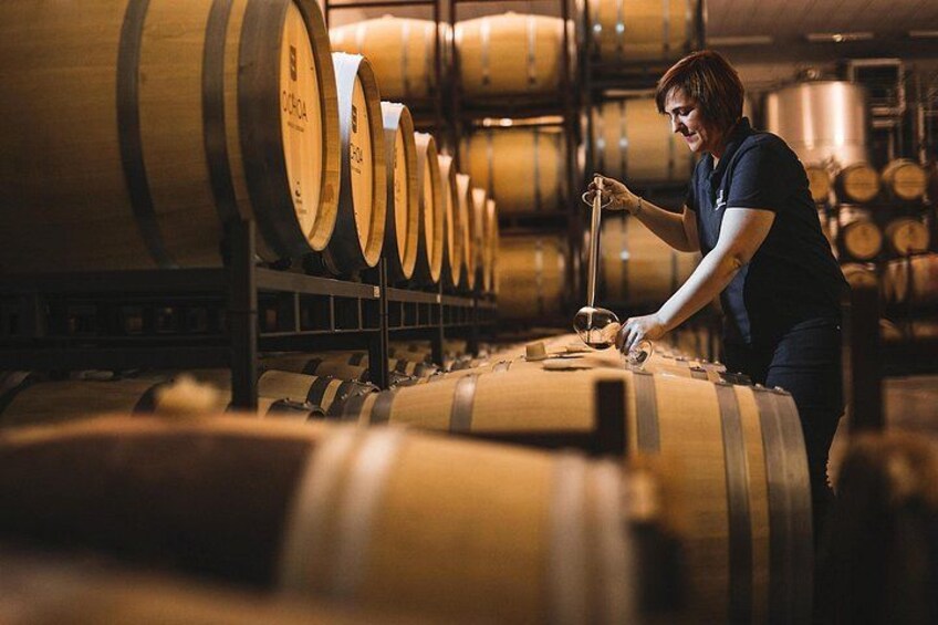 La Rioja wines and Laguardia tour from San Sebastian 5