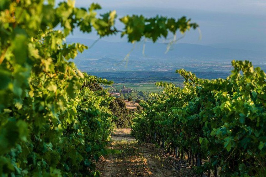 La Rioja wines and Laguardia tour from San Sebastian 2