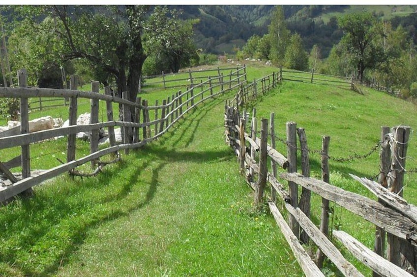 PIATRA CRAIULUI NATIONAL PARK eBike tour(BRASOV) 2