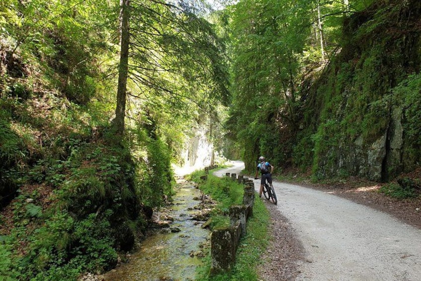 PIATRA CRAIULUI NATIONAL PARK eBike tour(BRASOV) 2