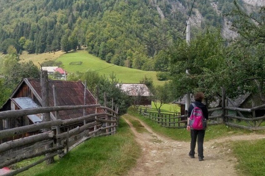 PIATRA CRAIULUI NATIONAL PARK eBike tour(BRASOV) 3