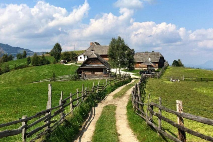 PIATRA CRAIULUI NATIONAL PARK eBike tour(BRASOV) 5