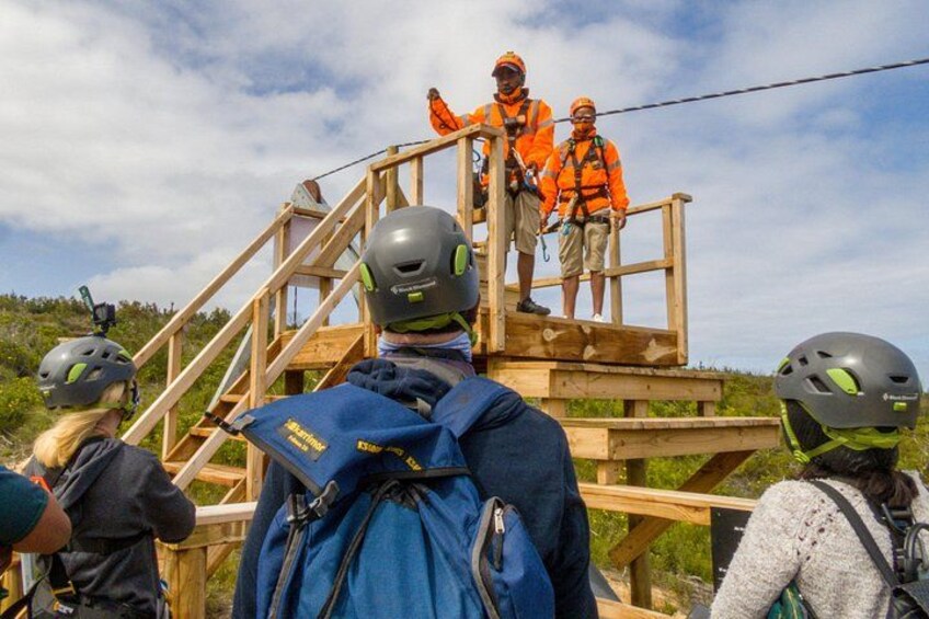 Knysna Ziplines Tour 5